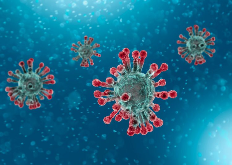 artist impression of a coronavirus particle