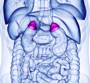 isturisa for Cushing’s disease