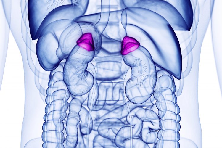 isturisa for Cushing’s disease