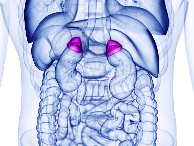 isturisa for Cushing’s disease