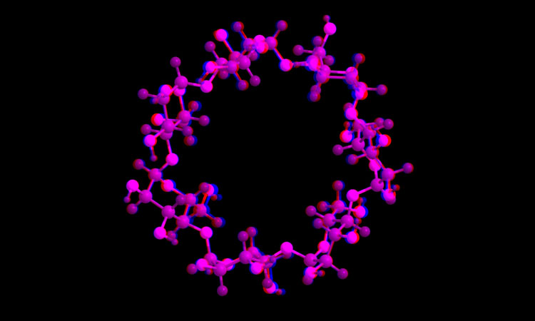 cyclodextrin drug formulation image