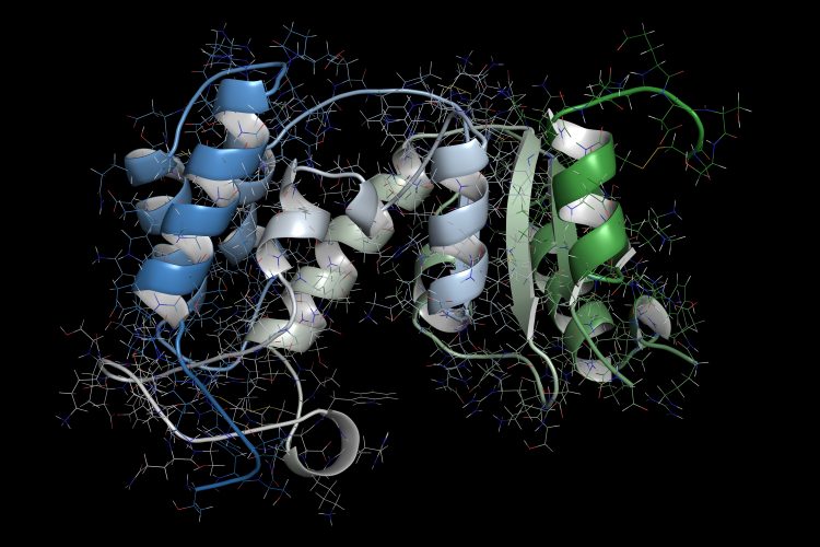 computer model image of daratumumab's enzyme target