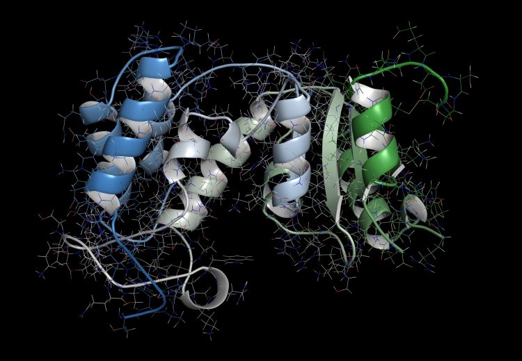 computer model image of daratumumab's enzyme target