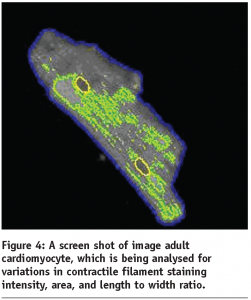 davies - figure 4