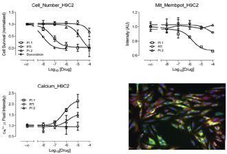 Figure 16: Showing results from cells were treated with 3 known cardio-toxic agents 2 protease inhibitors (PI 1 and 2) and 1 reverse transcriptase inhibitor (RTI). Measurements were taken from cells which were triple stained wit Fluo 4 (green). TMRM (red) and Hoechst (blue). The micrograph bottom right hand side is a fused image of triple stained cells.