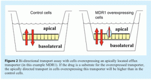 degroot - Figure 2