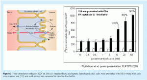 degroot - Figure 3