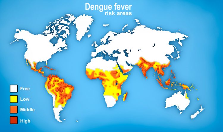 dengue vaccine map