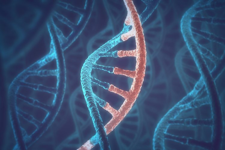 3D concept of DNA and RNA molecules