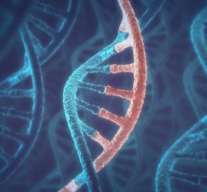 3D concept of DNA and RNA molecules