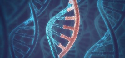 3D concept of DNA and RNA molecules