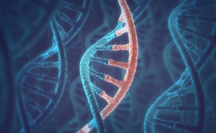 3D concept of DNA and RNA molecules