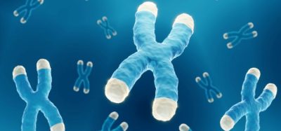 The promise of telomerase inhibitors for treating blood cancer