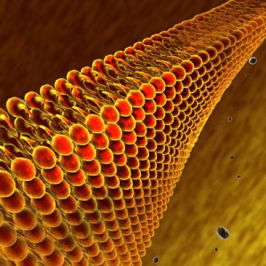 dyslipidemia-lipids