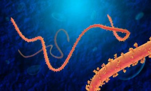 ebola-dna-immunotherapy