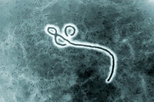 ebola-novavax