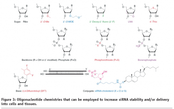 edbrooke - figure 3