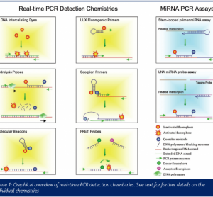 Figure 1: Graphical overview of real-time PCR detection chemistries. See text for further details on the individual chemistries.