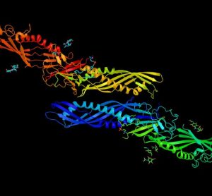 Novel strategy could facilitate rapid online-LPS endotoxin monitoring