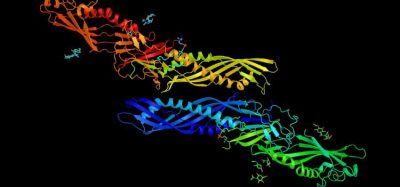 Novel strategy could facilitate rapid online-LPS endotoxin monitoring