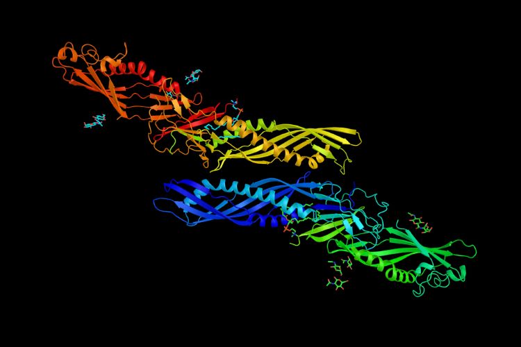 Novel strategy could facilitate rapid online-LPS endotoxin monitoring