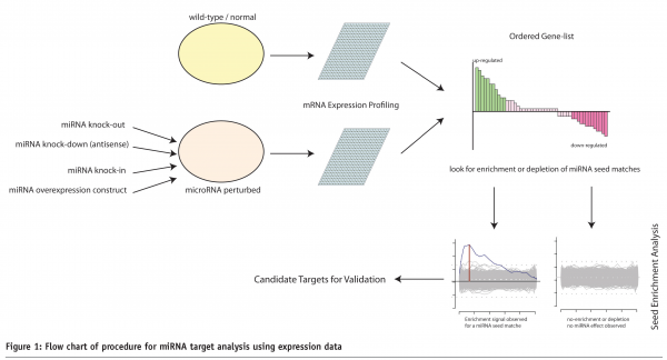 enright - figure 1