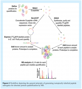 eyers - Figure 2