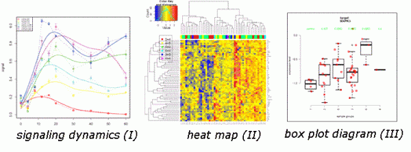 FIGURE 2 RPPA data output. Data can be visualised as box-plot diagrams (I), heat-maps (II) obtained by unsupervised clustering, and as dynamic data obtained in time-resolved measurements (III)