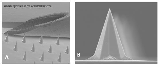 Figure 2 A – a scanning electron micrograph (SEM) that compares the bevel of a 26G needle to microneedles on a wet-etched Tyndall National Institute microneedle array device; B – SEM image of an individual microneedle