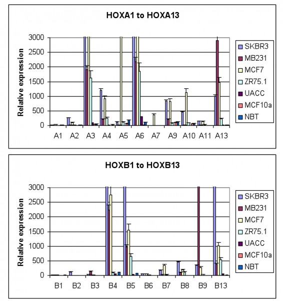 FIGURE 2 HOX gene expression in breast cancer derived cell lines and in normal breast tissue. The expression of each gene was determined by semi-quantitative PCR and is shown relative to the house keeping gene GAPDH (x10000). The values shown are the mean of three independent experiments and the error bars represent the SEM. NBT – normal breast tissue. Everyone of the breast tumour derived cell lines show significant up regulation of many HOX genes whilst there is very little HOX expression in normal breast tissue, or in MCF10a, a cell line derived from non-malignant mammary cells