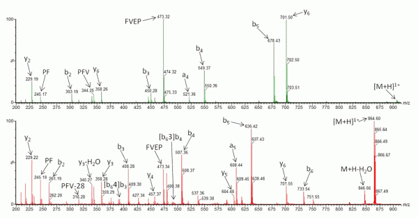 FIGURE 2 Collision-Induced Dissociation of (A) N-acetylated β-casomorphin (Ac-YPFVEPI) and (B) CID of β-casomorphin (YPFVEPI)