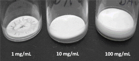 Figure 3 Cake appearance as a function of nanoparticle concentration after freeze drying of pure drug nanosuspensions well above the investigated critical formulation temperatures and without any addition of freeze-drying stabilising agents