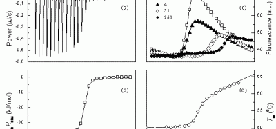 Figure 1 Comparison of ITC and TSA data for lead compound 3b binding to the N-terminal domain of Hsp90 target protein4. Left panels show ITC data, right panels – TSA data. Upper panels (a) and (c) show raw data while lower panels show the dosing curves