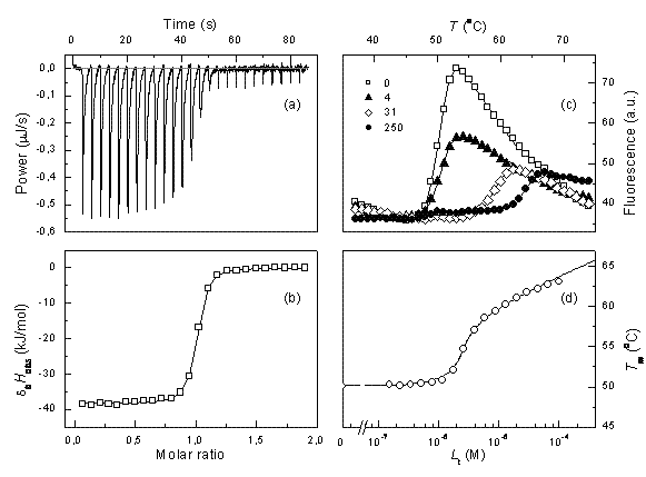 Figure 1 Comparison of ITC and TSA data for lead compound 3b binding to the N-terminal domain of Hsp90 target protein4. Left panels show ITC data, right panels – TSA data. Upper panels (a) and (c) show raw data while lower panels show the dosing curves