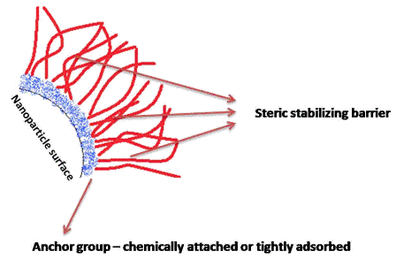 Figure 1 Schematic illustration of a particle stabilised by a steric stabiliser. Note that it has been reported that both the degree of adsorption and the density / thickness of the steric barrier are essential factors to mitigate freezing and drying stresses
