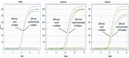 Figure 2: Test for inhibition using an RNA spike. Left: No inhibition; center: RT inhibition;right: PCR inhibition