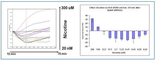 Figure 3 Nicotine dose-response in HEK 293 wild type cell line (SRU™ optical label free system). The signal induced by nicotine is dose-dependent, saturable and causes a net signal decrease (PWV) that is maximum for 0.5-5 uM at 15 – 50 minutes after agonist addition