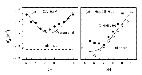 Figure 4 Observed and intrinsic Kds are shown as a function of pH for carbonic anhydrase – ethoxzolamide (a) and Hsp90 – radicicol systems. Panel (b) compares experimental datapoints obtained by ITC (filled squares) and TSA (open rhombs). Below pH 7 the ITC reached its maximum Kd determination capability. TSA measurements at low pH are more accurate than ITC8-10