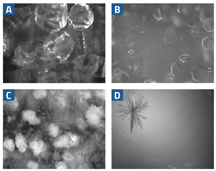 Applying simple PAT tools to crystallisation in process chemistry