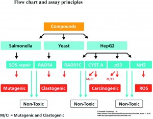 figure1