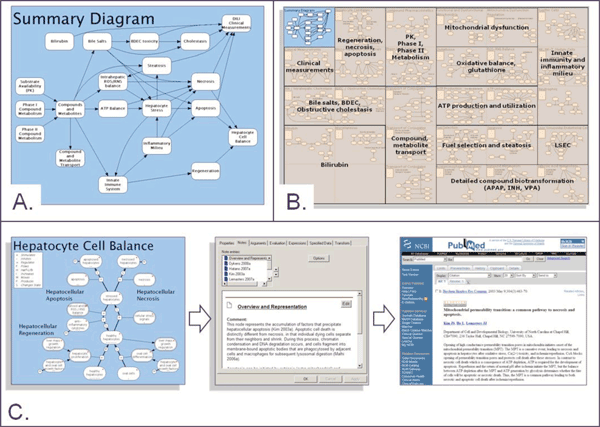 Figure 1 Overview of DILI-sim A. Schematic overview of the key biological processes represented in DILI-sim B. Overview of different modules within DILI-sim. Each module is itself a model that captures a specific area of relevant biology, pharmacology and metabolism. This modular approach to DILI-sim allows the overall model to be built in manageable, testable pieces C. Knowledge management aspects of DILI-sim. Under each of the models, the supporting evidence is explicitly captured and hence the model acts as a highly structured knowledge repository