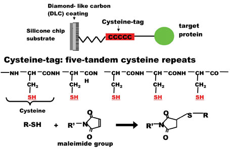 figure1