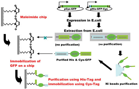 figure2