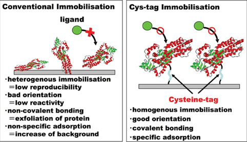 figure3