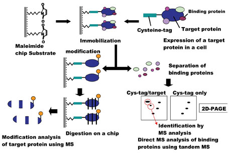 figure4