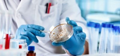 How effective is nanopore sequencing for fungal identification?