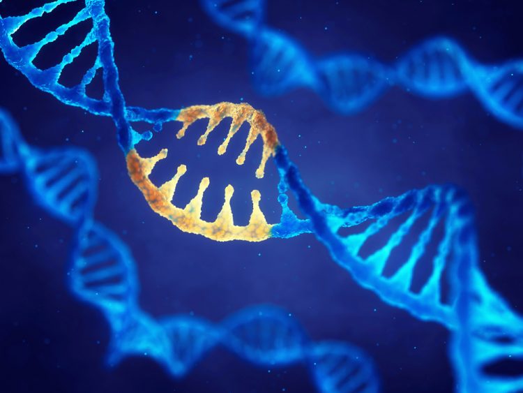 DNA double helix in blue with a specific region (gene) highlighted in yellow - idea of gene therapy