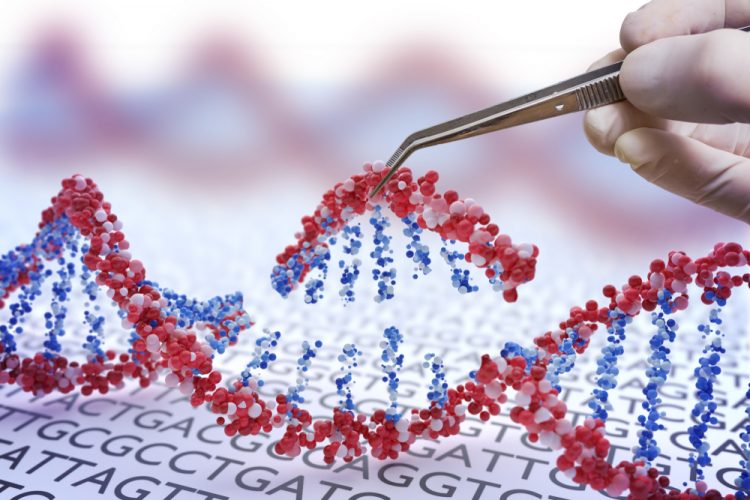 Hand holding forceps and inserting a section of DNA into an existing DNA strand - idea of genetic engineering or gene therapy