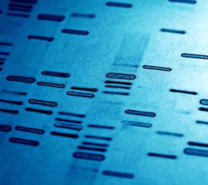 Early Biopotency Signals demonstrated in Sanfilippo Type A Gene Therapy Trial, provides Abeona Therapeutics