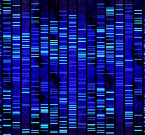 DNA sequence in bright blue - idea of genetics/genomics